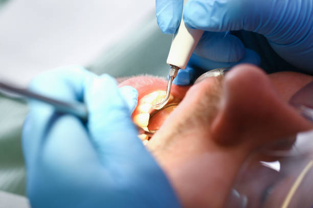 Best Same-Day Emergency Dental Services in Amory, MS